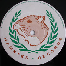 Load image into Gallery viewer, Terrorize : It's Just A Feeling (12")