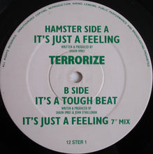 Load image into Gallery viewer, Terrorize : It's Just A Feeling (12")
