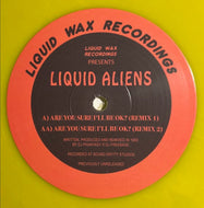 Liquid Aliens : Are You Sure I'll Be Ok? (Unreleased Remixes) (12