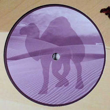 Load image into Gallery viewer, Alek Száhala / Tazz : Caballo / Whore House (12")