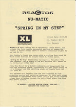 Load image into Gallery viewer, Nu-Matic : Spring In My Step (12")