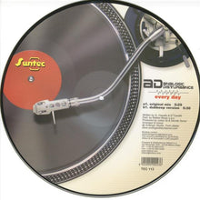Load image into Gallery viewer, Analogic Disturbance : Every Day (12", Pic)