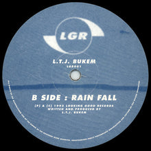 Load image into Gallery viewer, LTJ Bukem : Horizons (12")
