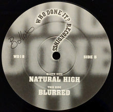 Load image into Gallery viewer, Who Done It? : Natural High / Blurred (12")