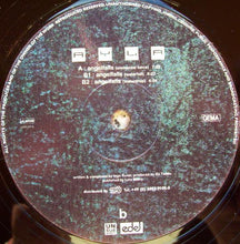 Load image into Gallery viewer, Ayla : Angelfalls (12")