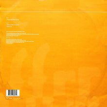 Load image into Gallery viewer, Y Traxx : Mystery Land (12")