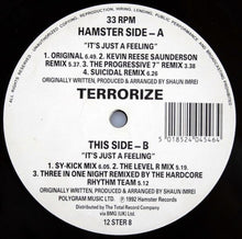 Load image into Gallery viewer, Terrorize : It's Just A Feeling (The Remix Project) (12")