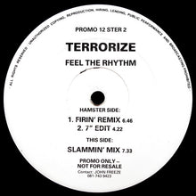 Load image into Gallery viewer, Terrorize : Feel The Rhythm (12", Promo)