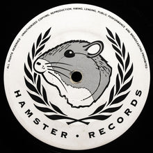 Load image into Gallery viewer, Terrorize : Feel The Rhythm (12", Promo)