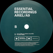 Load image into Gallery viewer, Ariel (3) : A9 (12")