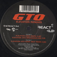 Load image into Gallery viewer, GTO : Elevation Remixes (12")