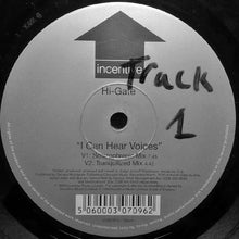 Load image into Gallery viewer, Hi-Gate : I Can Hear Voices / Caned And Unable (12")