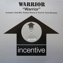 Load image into Gallery viewer, Warrior : Warrior (12")