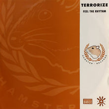 Load image into Gallery viewer, Terrorize : Feel The Rhythm (12")