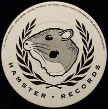 Load image into Gallery viewer, Terrorize : Feel The Rhythm (12")