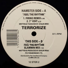 Load image into Gallery viewer, Terrorize : Feel The Rhythm (12")