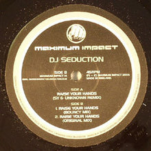 Load image into Gallery viewer, DJ Seduction : Raise Your Hands (12")