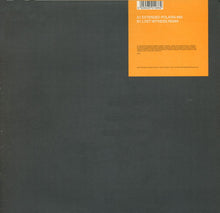 Load image into Gallery viewer, DJ Energy &amp; DJ Tatana : End Of Time (12")