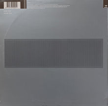 Load image into Gallery viewer, Human Evolution : Human Evolution (12")