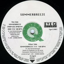 Load image into Gallery viewer, Summerbreeze : Summerbreeze (12",45 RPM)
