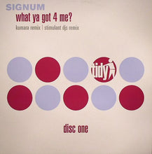 Load image into Gallery viewer, Signum : What Ya Got 4 Me? (12", Single, One)