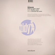 Load image into Gallery viewer, Signum : What Ya Got 4 Me? (12", Single, One)