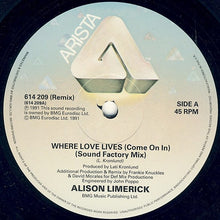 Load image into Gallery viewer, Alison Limerick : Where Love Lives (Come On In) (The Remixes) (12")