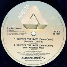 Load image into Gallery viewer, Alison Limerick : Where Love Lives (Come On In) (The Remixes) (12")