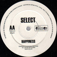 Load image into Gallery viewer, Select : The Realm / Happiness (12")