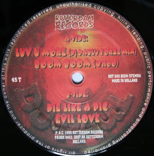 Load image into Gallery viewer, DJ Paul Elstak* : Luv U More (12")