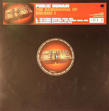 Load image into Gallery viewer, Public Domain : The Acidanimal EP (Volume 1) (12", EP, Ltd)