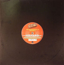 Load image into Gallery viewer, Public Domain : The Acidanimal EP (Volume 1) (12", EP, Ltd)