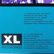 Load image into Gallery viewer, The Prodigy : Everybody In The Place (12")