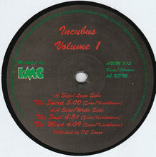 Load image into Gallery viewer, Incubus : Volume 1 (12")