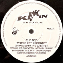Load image into Gallery viewer, The Scientist : The Bee (12")
