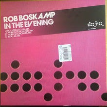 Load image into Gallery viewer, Rob Boskamp : In The Evening (12")