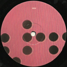 Load image into Gallery viewer, Rob Boskamp : In The Evening (12")