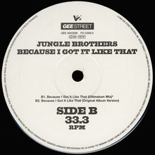 Load image into Gallery viewer, Jungle Brothers : Because I Got It Like That (12", Single)