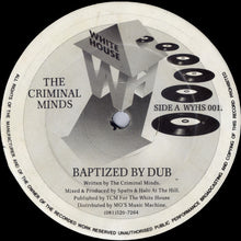 Load image into Gallery viewer, The Criminal Minds : Baptized By Dub / Virtual Reality (12")