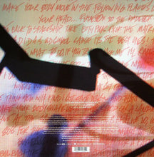 Load image into Gallery viewer, Robbie Williams : Rudebox (12")