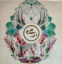 Load image into Gallery viewer, Sarah McLeod : He Doesn't Love You (12")