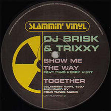 Load image into Gallery viewer, Brisk &amp; Trixxy : Show Me The Way / Together (12",33 ⅓ RPM)