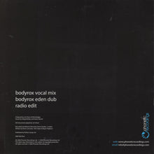 Load image into Gallery viewer, Another Chance : Sound Of Eden (12")