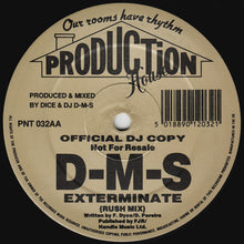 Load image into Gallery viewer, DMS : Exterminate (12", Promo)
