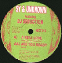 Load image into Gallery viewer, Sy &amp; Unknown Featuring DJ Seduction : Hectic Remixes Vol. 2 (12")