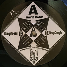 Load image into Gallery viewer, Bay B Kane : Survival Techniques Vol. 1 (2x12", RE)