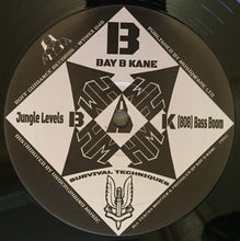 Load image into Gallery viewer, Bay B Kane : Survival Techniques Vol. 1 (2x12", RE)