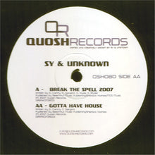 Load image into Gallery viewer, Sy &amp; Unknown : Break The Spell 2007 / Gotta Have House (12")