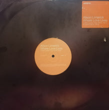 Load image into Gallery viewer, Alison Limerick : Where Love Lives (12", Promo)