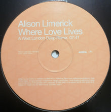 Load image into Gallery viewer, Alison Limerick : Where Love Lives (12", Promo)